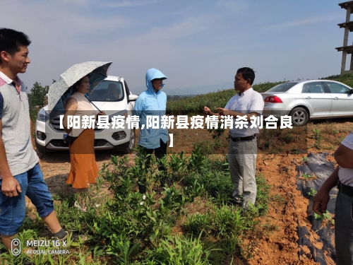 【阳新县疫情,阳新县疫情消杀刘合良】