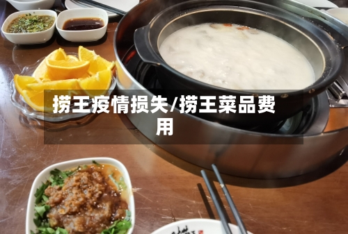 捞王疫情损失/捞王菜品费用