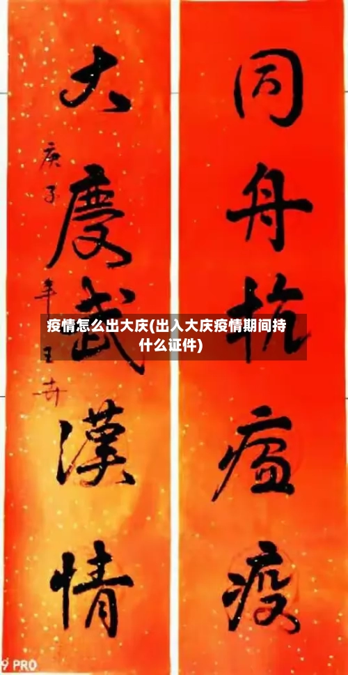 疫情怎么出大庆(出入大庆疫情期间持什么证件)