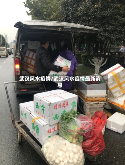 武汉风水疫情/武汉风水疫情最新消息