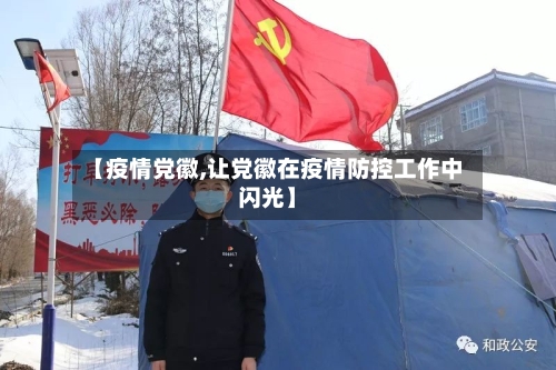 【疫情党徽,让党徽在疫情防控工作中闪光】-第3张图片