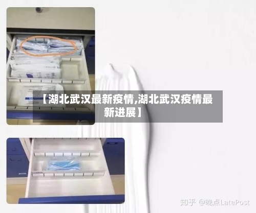 【湖北武汉最新疫情,湖北武汉疫情最新进展】