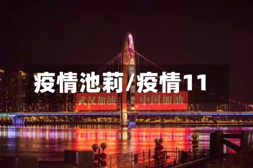 疫情池莉/疫情11