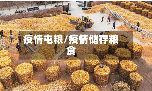 疫情屯粮/疫情储存粮食-第2张图片