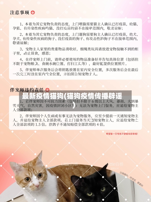 最新疫情猫狗(猫狗疫情传播辟谣)-第3张图片