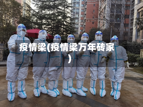 疫情梁(疫情梁万年砖家)