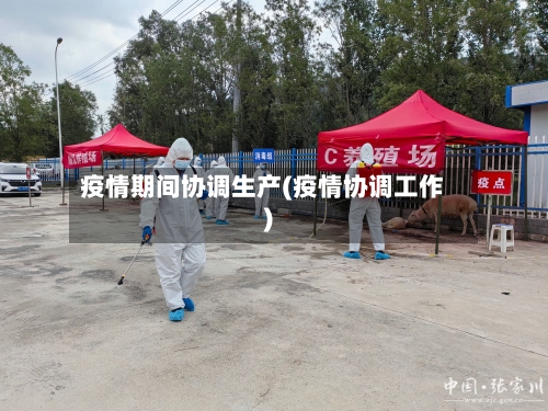 疫情期间协调生产(疫情协调工作)