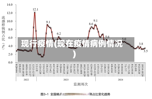 现行疫情(现在疫情病例情况)