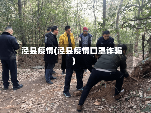 泾县疫情(泾县疫情口罩诈骗)