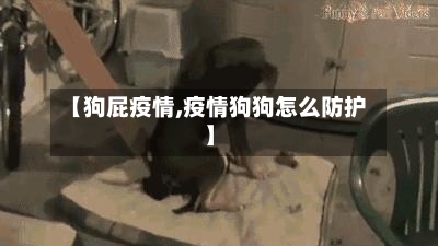 【狗屁疫情,疫情狗狗怎么防护】-第2张图片