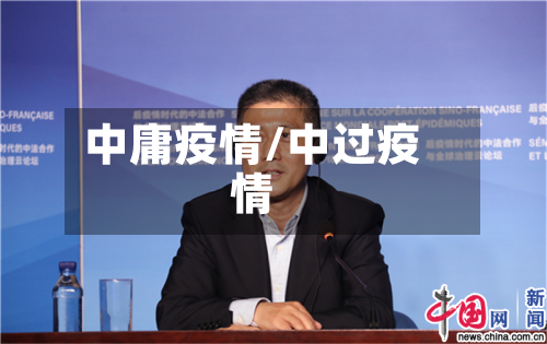 中庸疫情/中过疫情