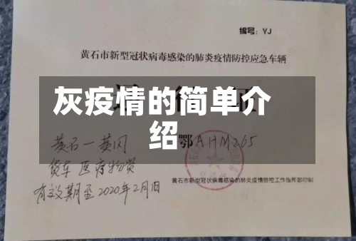 灰疫情的简单介绍