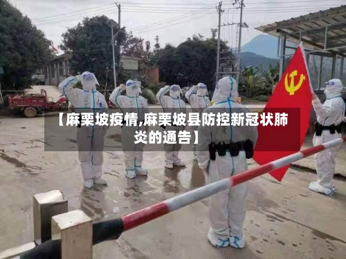 【麻栗坡疫情,麻栗坡县防控新冠状肺炎的通告】