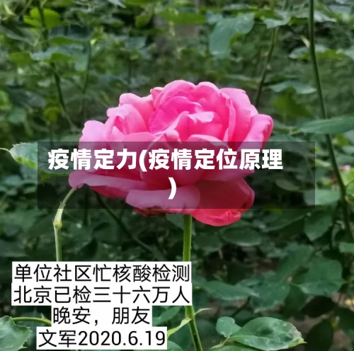 疫情定力(疫情定位原理)