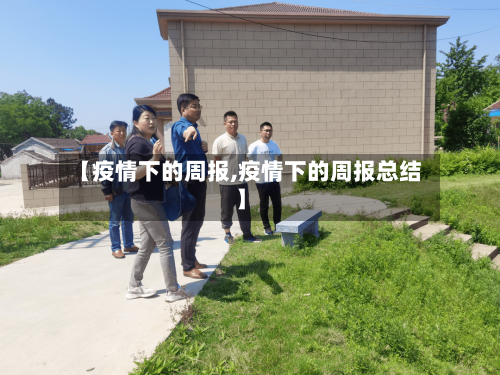 【疫情下的周报,疫情下的周报总结】-第3张图片