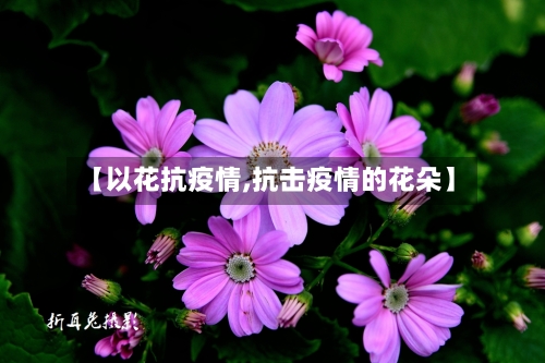 【以花抗疫情,抗击疫情的花朵】