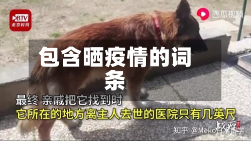 包含晒疫情的词条