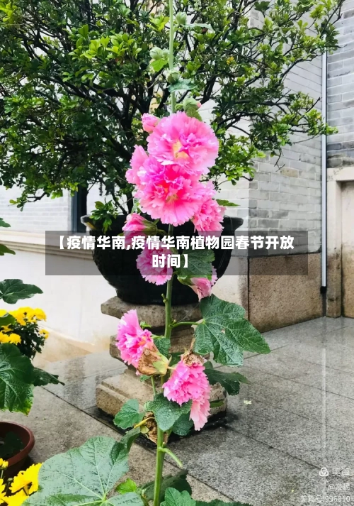 【疫情华南,疫情华南植物园春节开放时间】