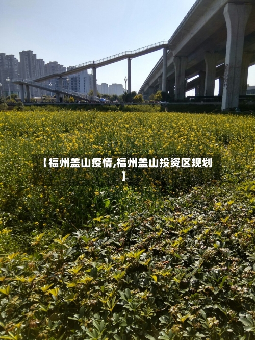 【福州盖山疫情,福州盖山投资区规划】