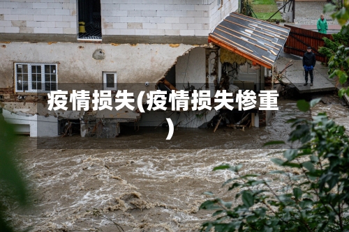 疫情损失(疫情损失惨重)-第2张图片