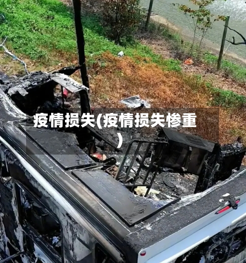 疫情损失(疫情损失惨重)-第3张图片