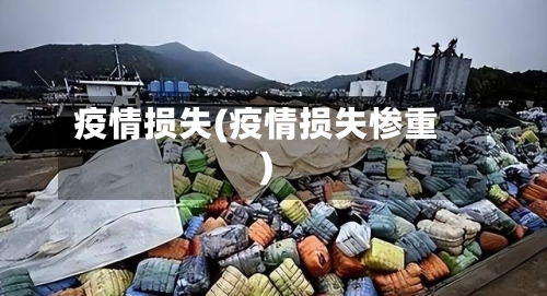 疫情损失(疫情损失惨重)