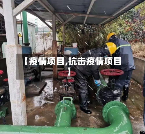 【疫情项目,抗击疫情项目】-第2张图片