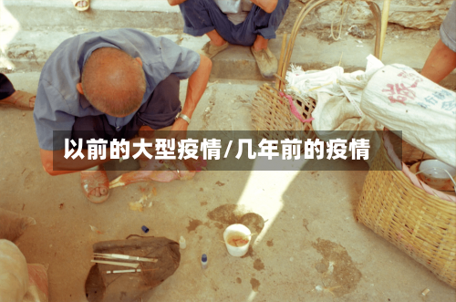 以前的大型疫情/几年前的疫情