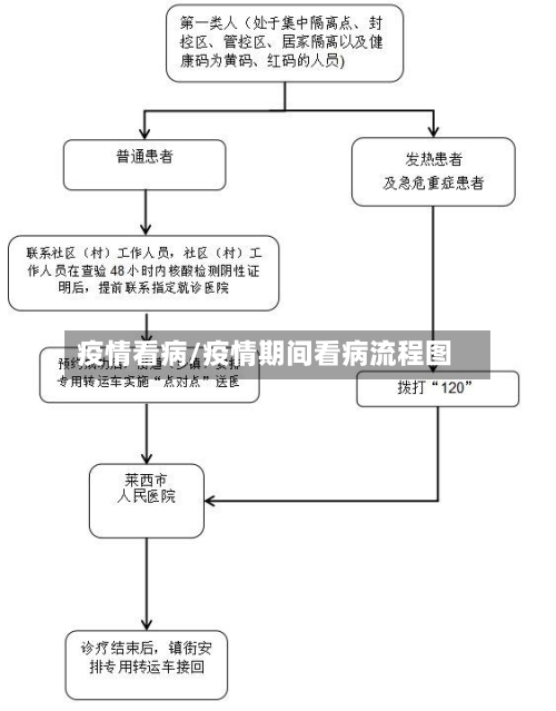 疫情看病/疫情期间看病流程图-第2张图片