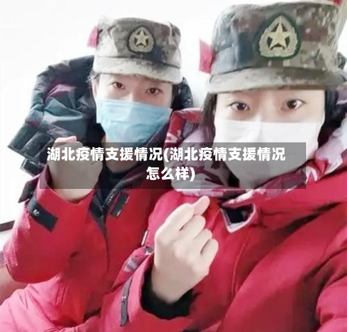 湖北疫情支援情况(湖北疫情支援情况怎么样)