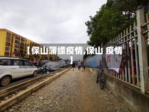 【保山蒲缥疫情,保山 疫情】