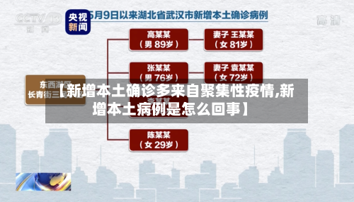 【新增本土确诊多来自聚集性疫情,新增本土病例是怎么回事】
