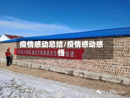 疫情感动总结/疫情感动感悟