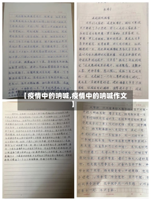 【疫情中的呐喊,疫情中的呐喊作文】