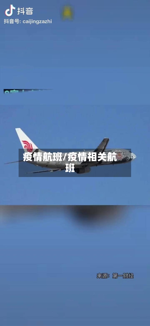 疫情航班/疫情相关航班