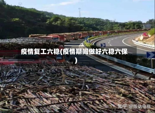 疫情复工六稳(疫情期间做好六稳六保)