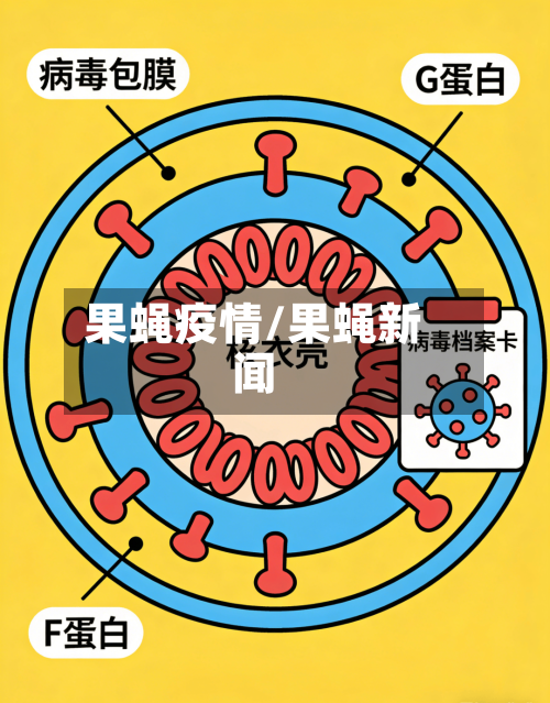 果蝇疫情/果蝇新闻-第3张图片