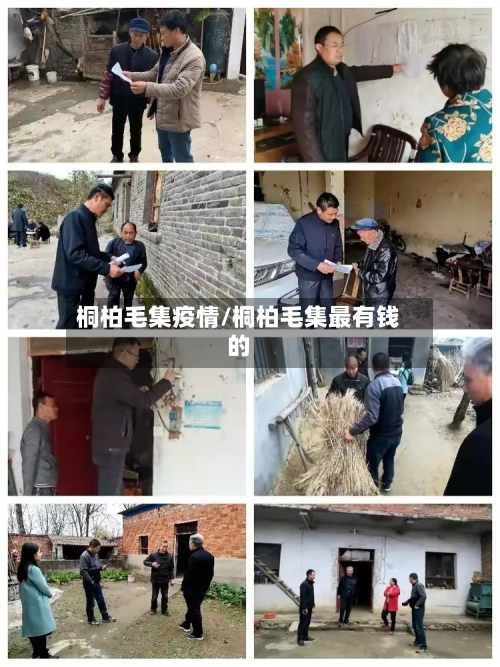 桐柏毛集疫情/桐柏毛集最有钱的