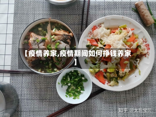 【疫情养家,疫情期间如何挣钱养家】