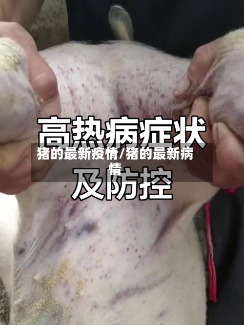 猪的最新疫情/猪的最新病情