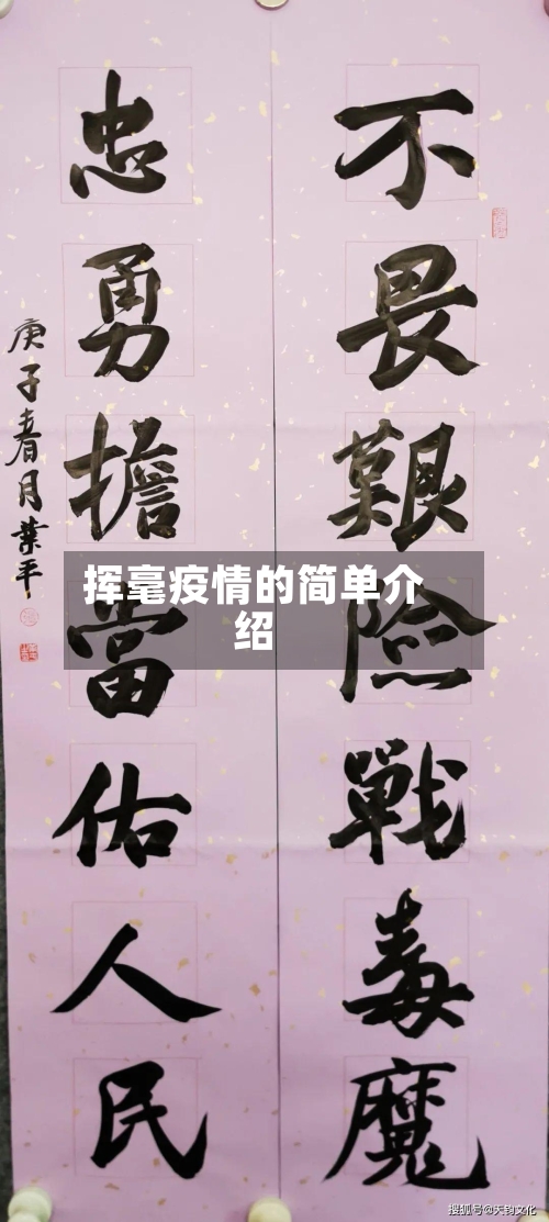 挥毫疫情的简单介绍