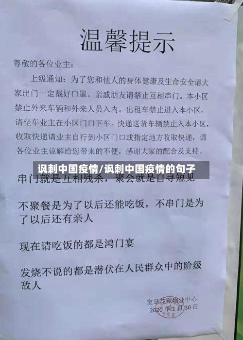 讽刺中国疫情/讽刺中国疫情的句子