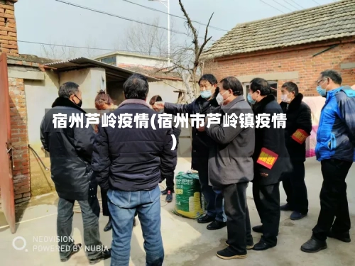宿州芦岭疫情(宿州市芦岭镇疫情)