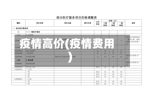 疫情高价(疫情费用)