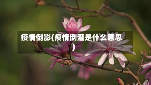 疫情倒影(疫情倒灌是什么意思)