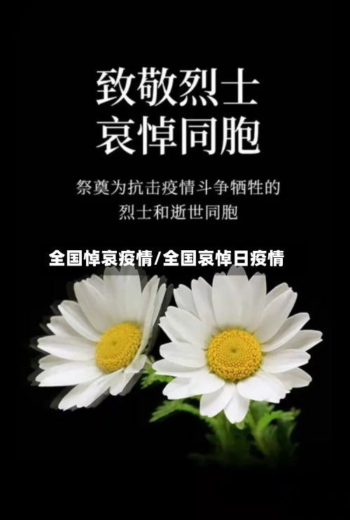 全国悼哀疫情/全国哀悼日疫情