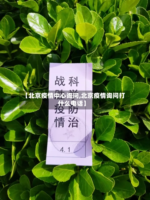 【北京疫情中心询问,北京疫情询问打什么电话】