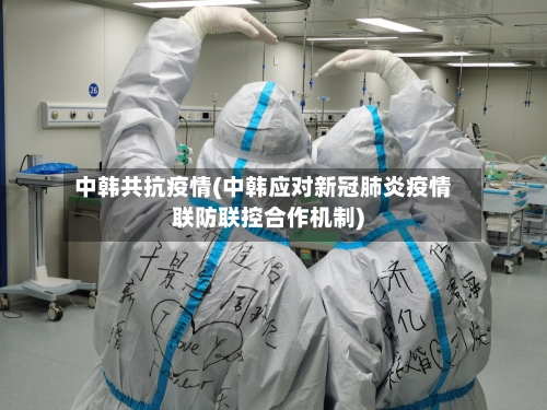 中韩共抗疫情(中韩应对新冠肺炎疫情联防联控合作机制)-第3张图片