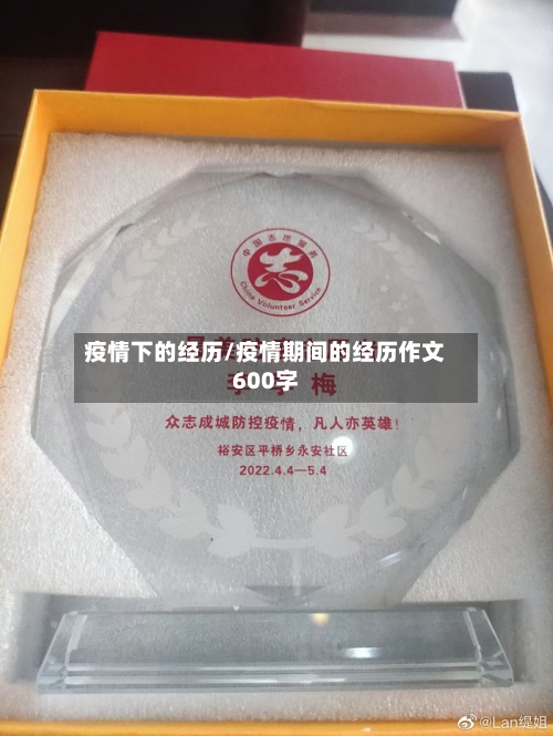 疫情下的经历/疫情期间的经历作文600字