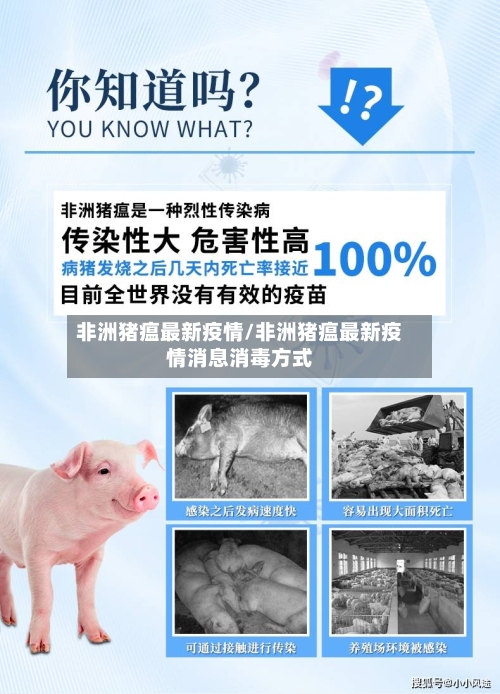 非洲猪瘟最新疫情/非洲猪瘟最新疫情消息消毒方式